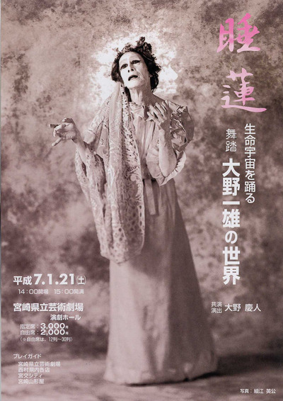 Water Lilies | Miyazaki Prefectural Arts Center 